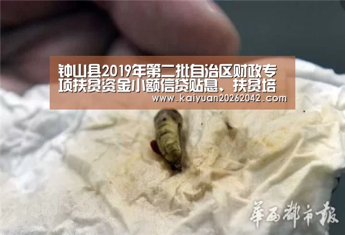 开元娱乐